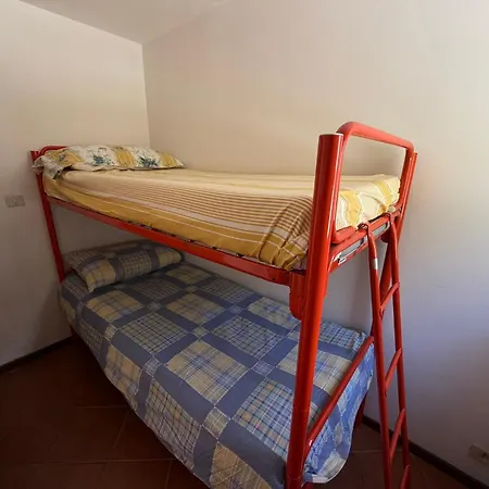 Cervinia Pearl -